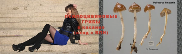 apvp Беломорск