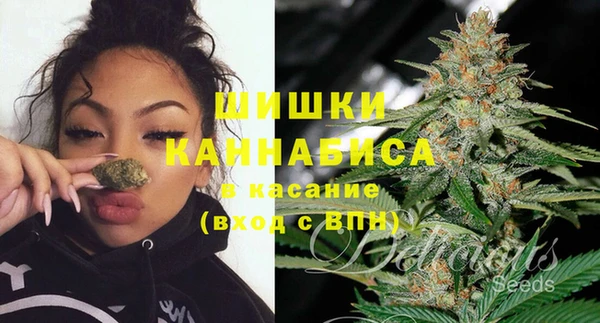 дмт Дмитров