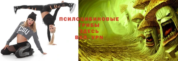 кокс Белокуриха