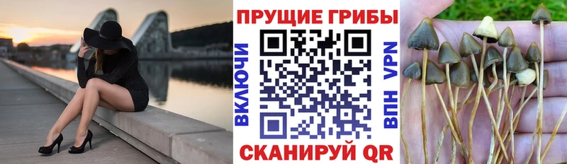 Галлюциногенные грибы MAGIC MUSHROOMS  KRAKEN сайт  Макаров 